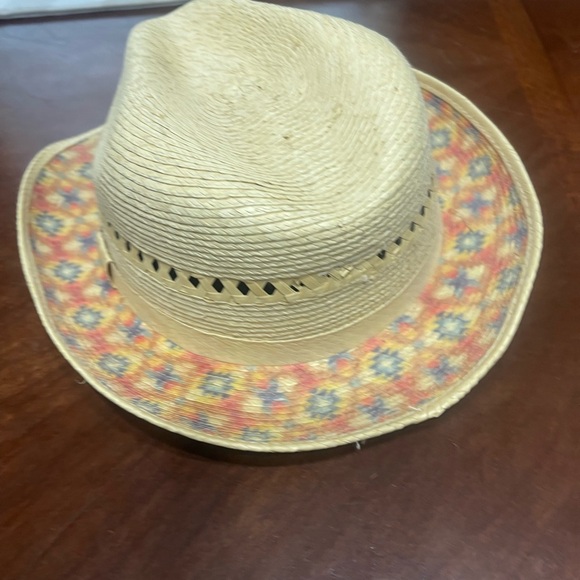 Charlie 1 Horse Fedora Taos straw main image 12